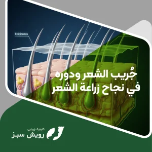 Read more about the article ما هو جُريب الشعر ولماذا يُعَدّ أساس نجاح عملية زراعة الشعر؟