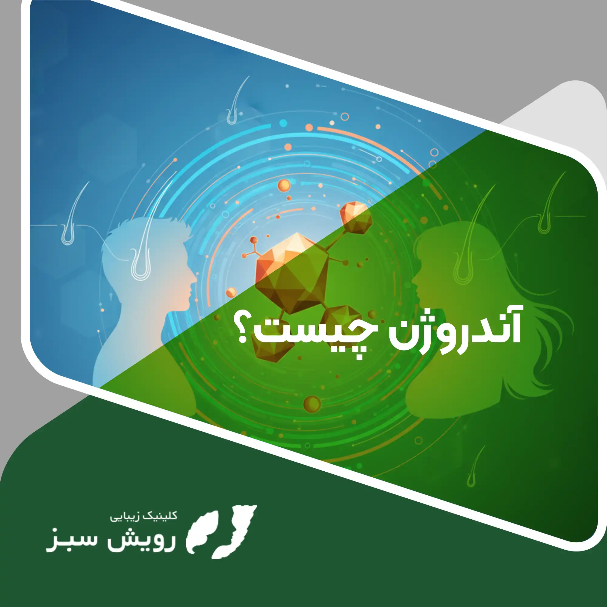 Read more about the article آندروژن چیست و چه نقشی در سلامت موها و پوست دارد