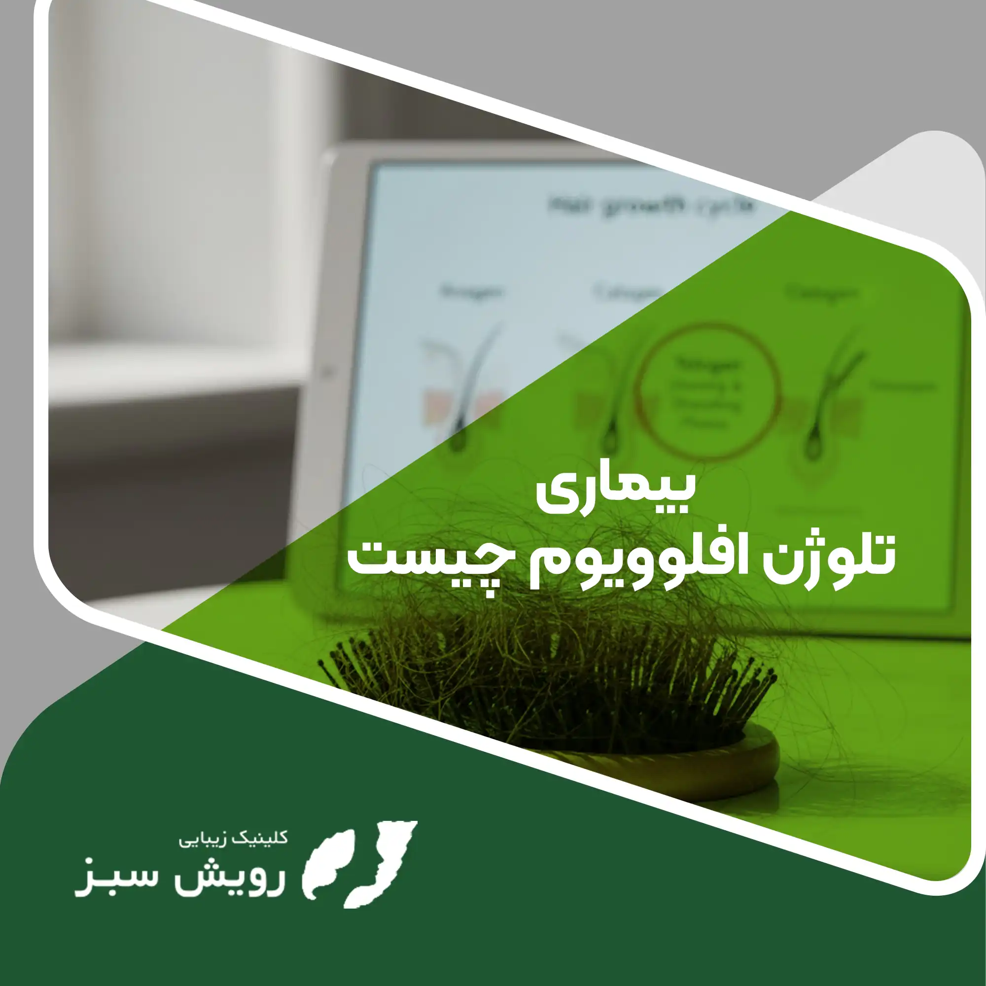 Read more about the article کالبدشکافی علمی بیماری تلوژن افلوویوم